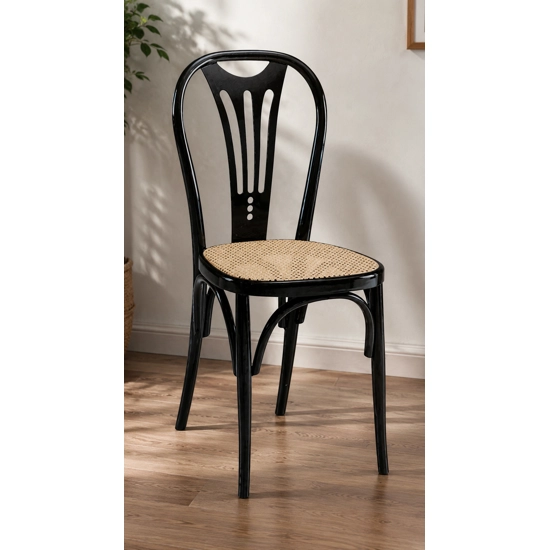 Vienna 18 Viennese chairs Progetto Sedia